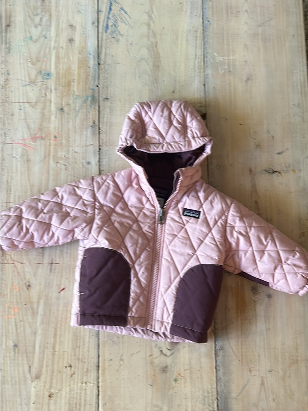Patagonia winter coat